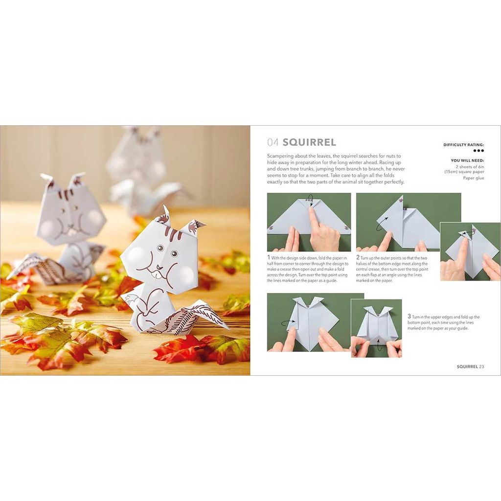 Nature Origami: Paper block plus 64-page book