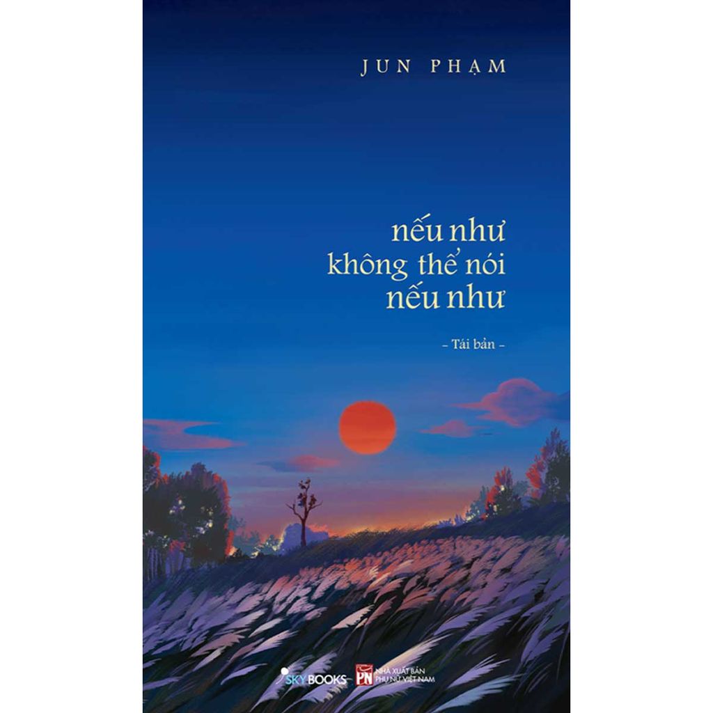 Nếu Như Không Thể Nói Nếu Như (Skybooks)