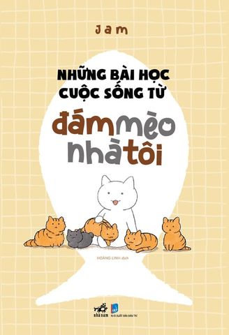 Những Bài Học Cuộc Sống Từ Đám Mèo Nhà Tôi