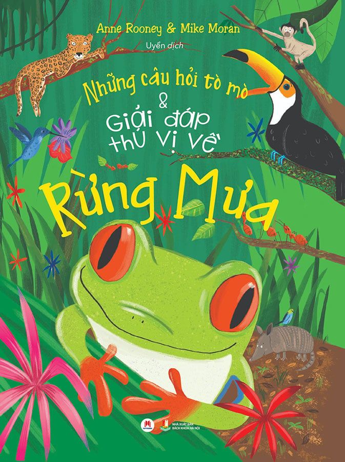 Những Câu Hỏi Tò Mò Và Giải Đáp Thú Vị Về Rừng Mưa