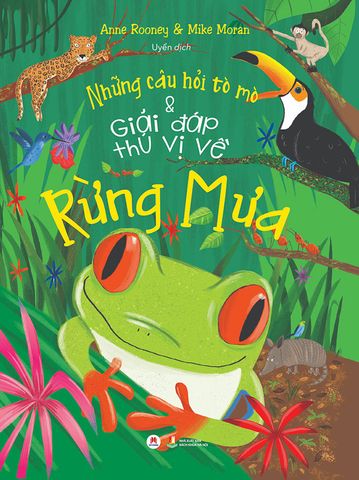 Những Câu Hỏi Tò Mò Và Giải Đáp Thú Vị Về Rừng Mưa