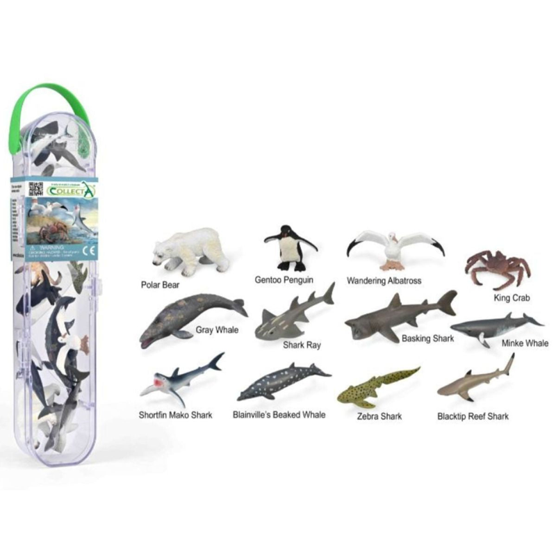 Collecta Bộ Sưu Tập Mô Hình 12 Sinh Vật Biển -3 A1211