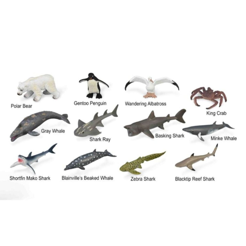 Collecta Bộ Sưu Tập Mô Hình 12 Sinh Vật Biển -3 A1211