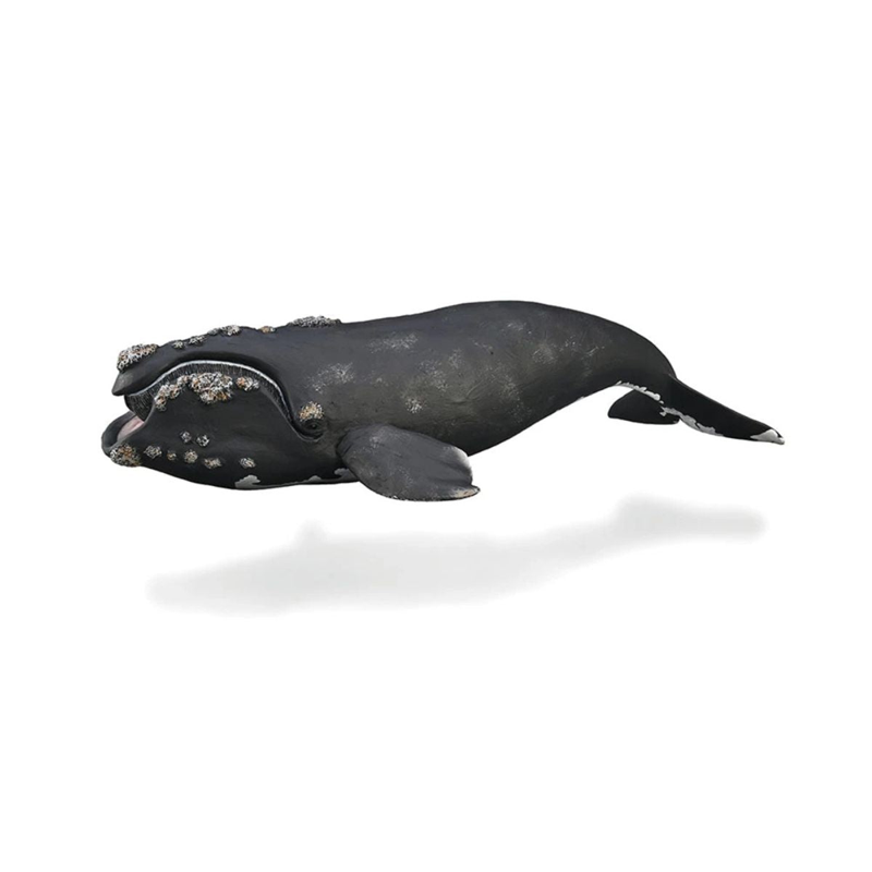 Collecta Mô Hình Động Vật Collecta Cá Voi Trơn 88740