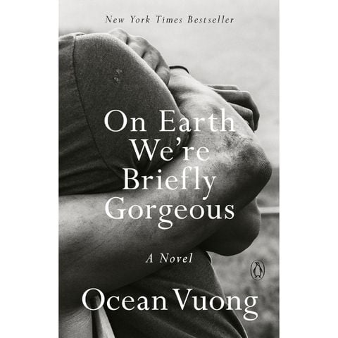 On Earth We're Briefly Gorgeous: A Novel
