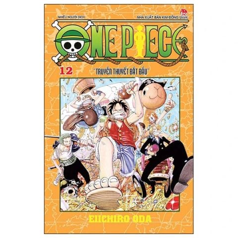 ONE PIECE T12