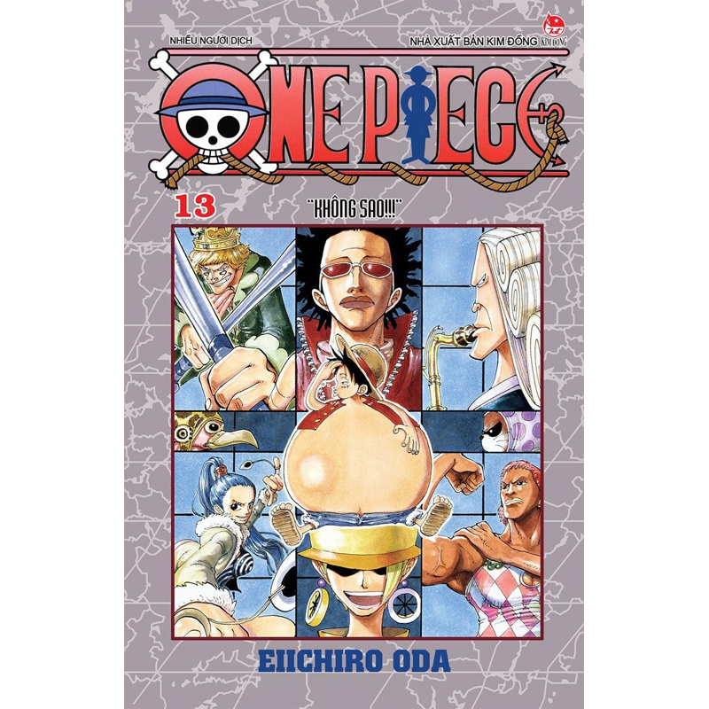 One Piece T13