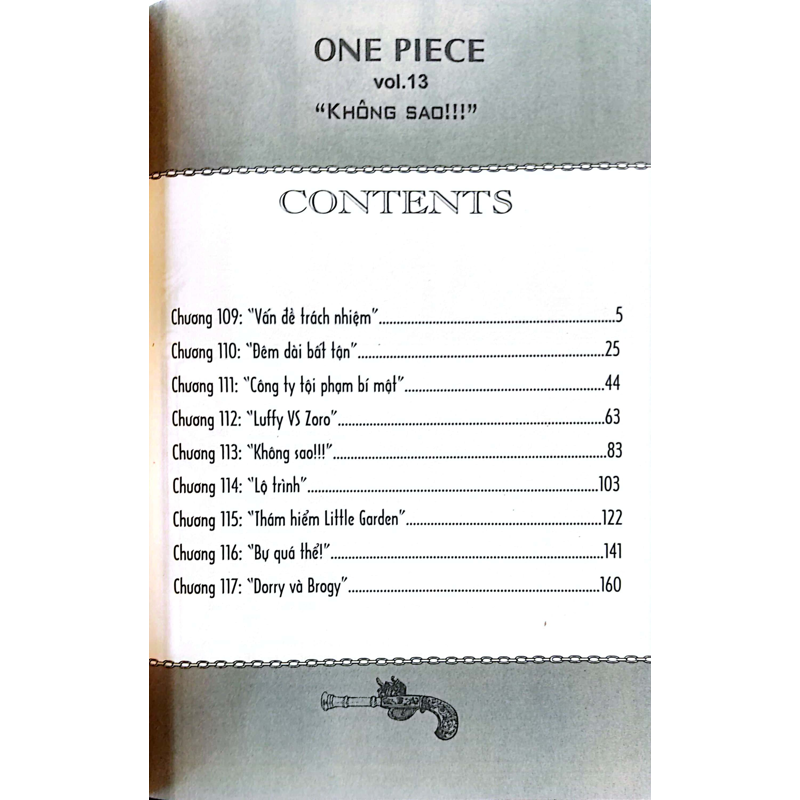 One Piece T13