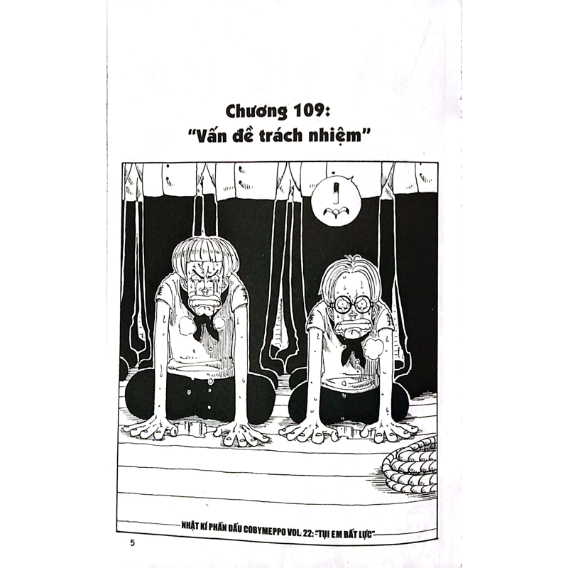 One Piece T13