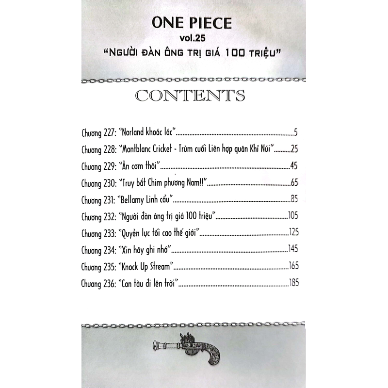 One Piece T25