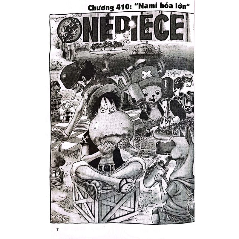 One Piece T43