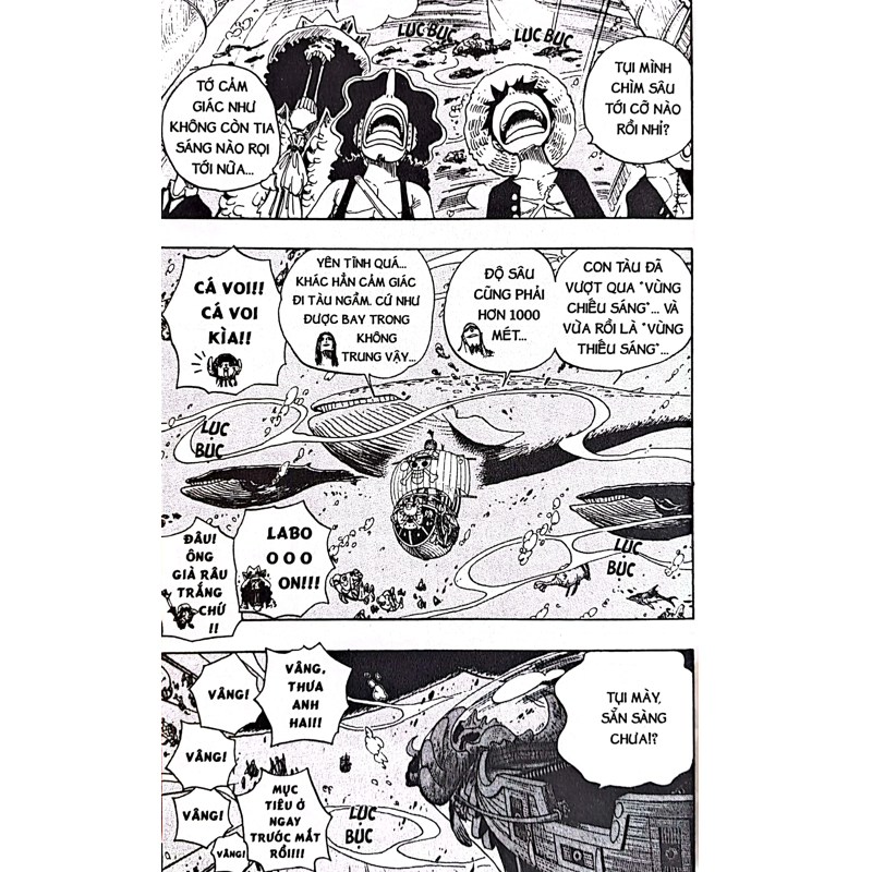 One Piece T62