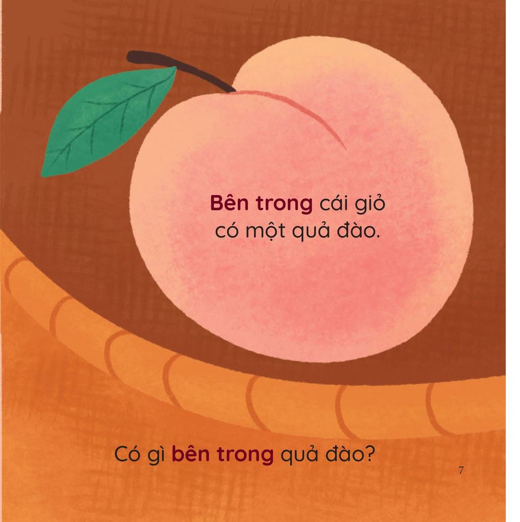 Bé Thông Minh Trổ Tài So Sánh: Bên Trong, Bên Ngoài