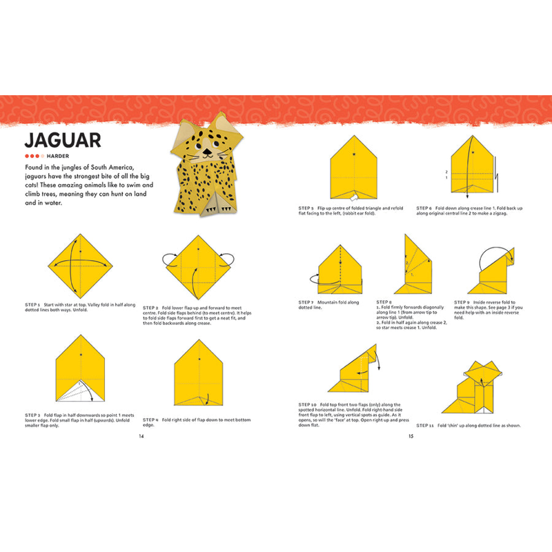 Origami Activity Book - Wild Animals