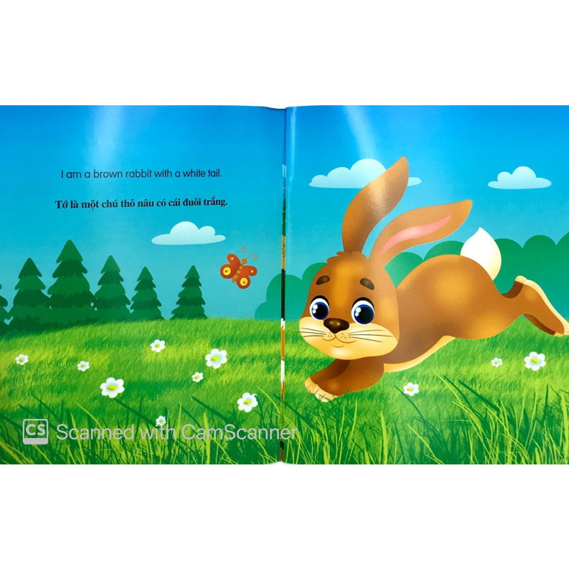 Tớ Là Một Chú Thỏ - Những Câu Chuyện Về Thế Giới Loài Vật (Song Ngữ Anh - Việt)