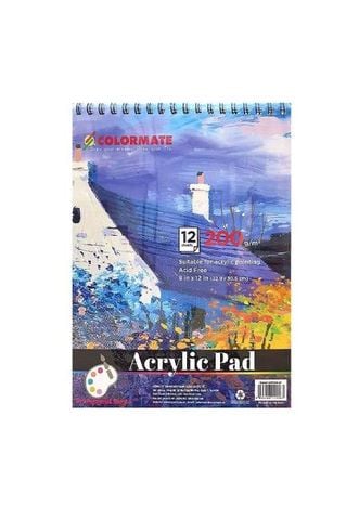 Tập Giấy Vẽ Acrylic Pad A4 DL 200GMS 12 Tờ ARTIST-AP