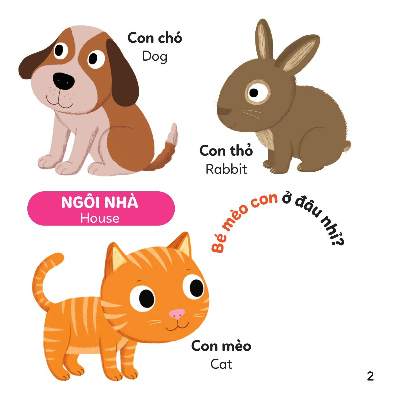 Xoay Xoay Xoay - Đi Tìm Màu Sắc
