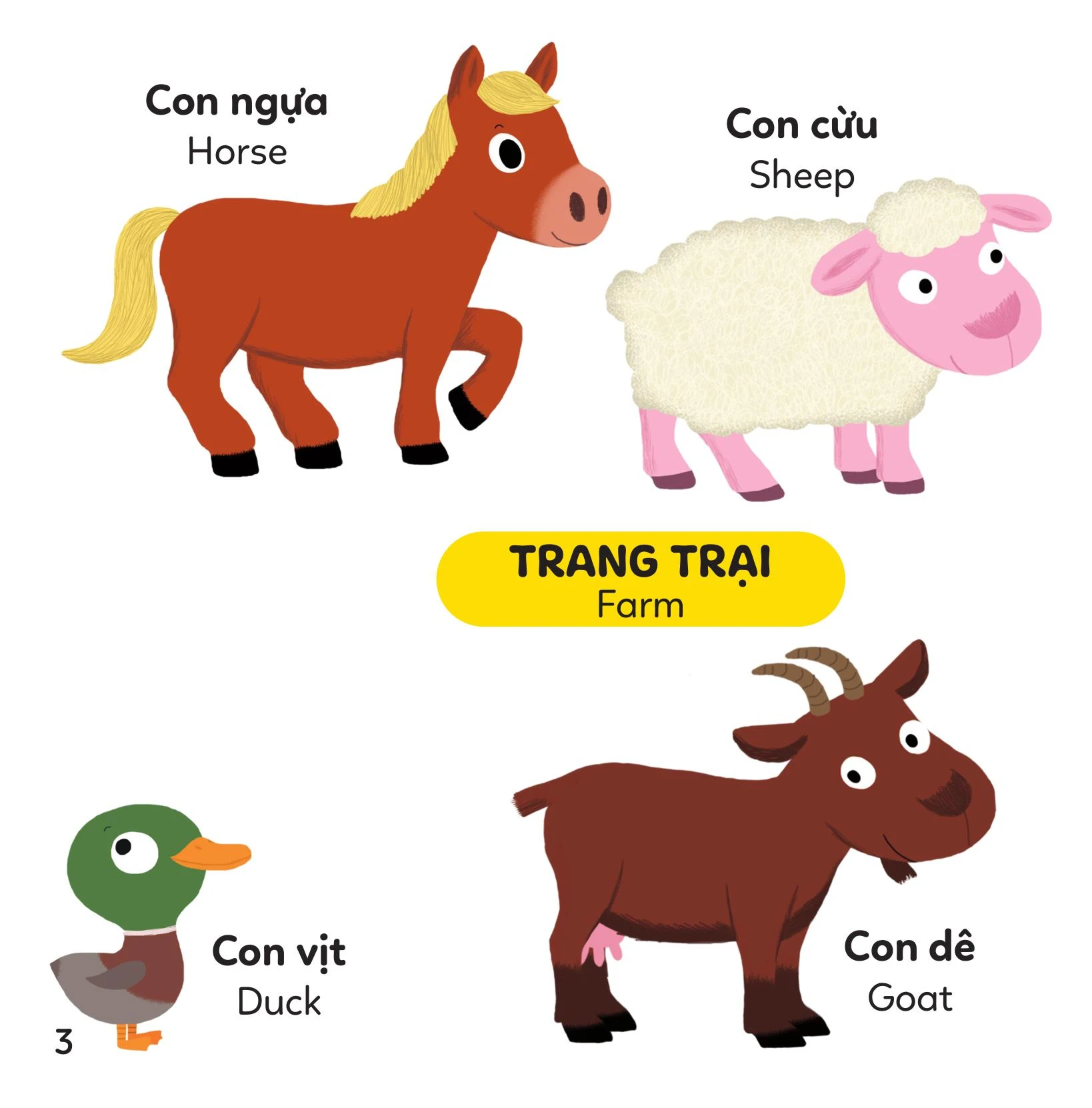 Xoay Xoay Xoay - Đi Tìm Màu Sắc