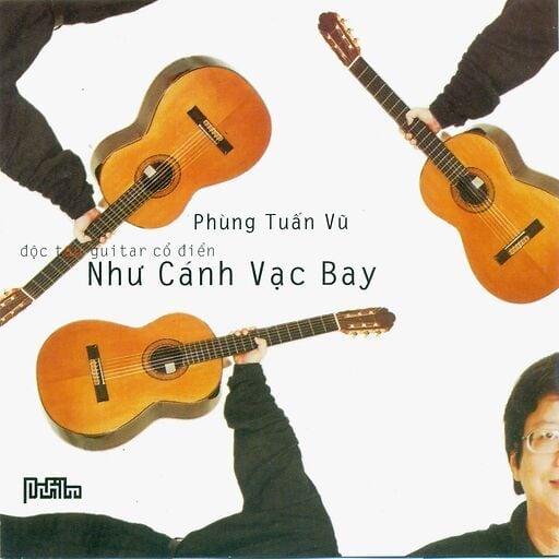 Như Cánh Vạc Bay-Hòa Tấu Guitar P.T.Vu (Cd)