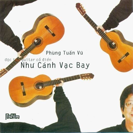 Như Cánh Vạc Bay-Hòa Tấu Guitar P.T.Vu (Cd)