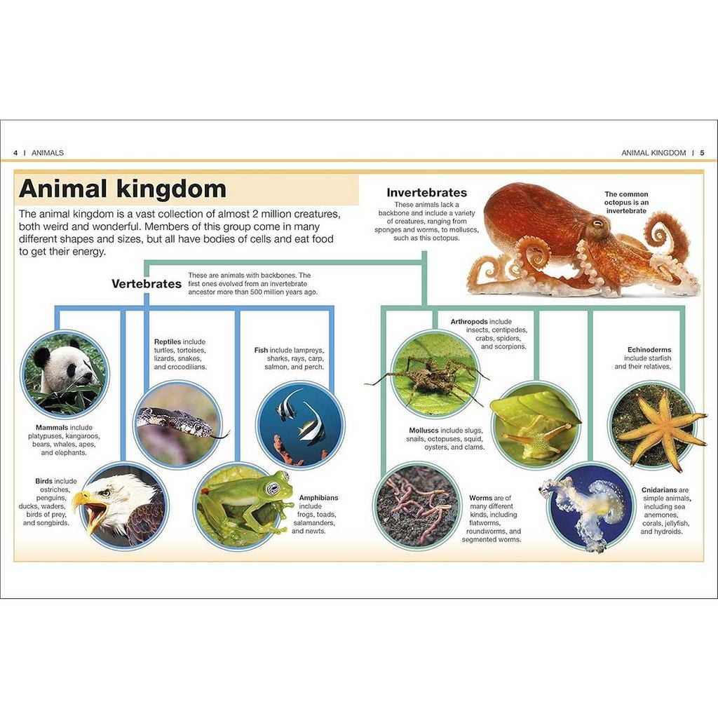 Pocket Eyewitness Animals