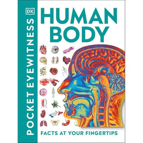 Pocket Eyewitness Human Body : Facts At Your Fingertips