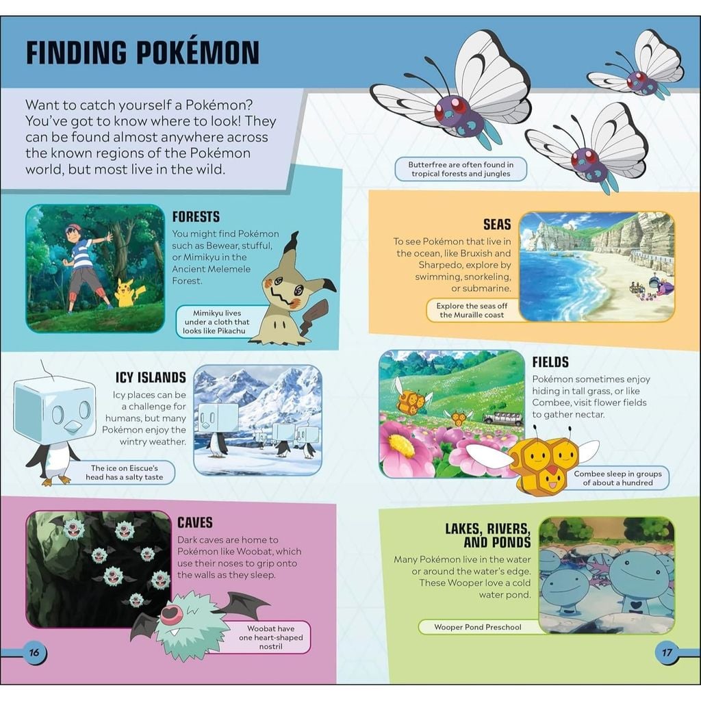 Pokémon Pocket Expert