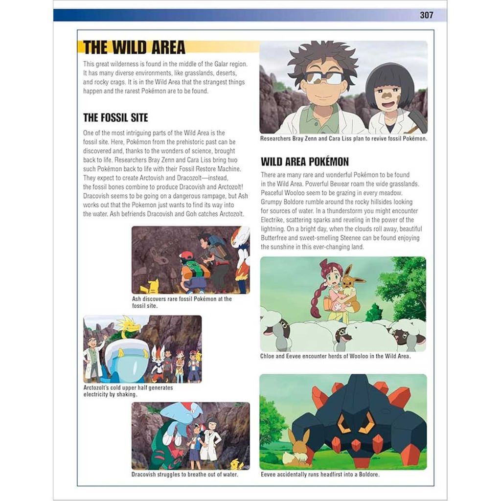Pokémon Visual Companion 5th Edition