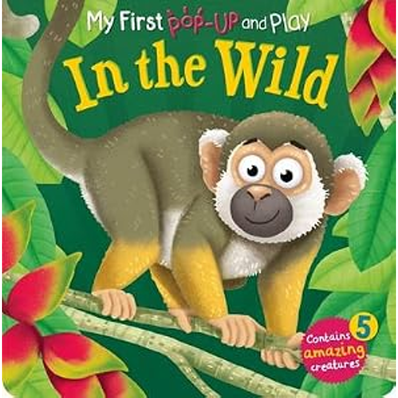 Pop-Up And Play: In The Wild