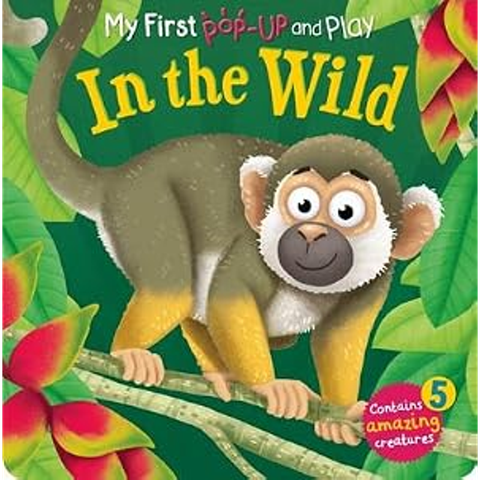 Pop-Up And Play: In The Wild