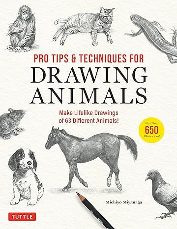 Pro Tips & Techniques For Drawing Animals