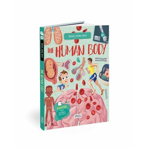 Q&A - Human Body