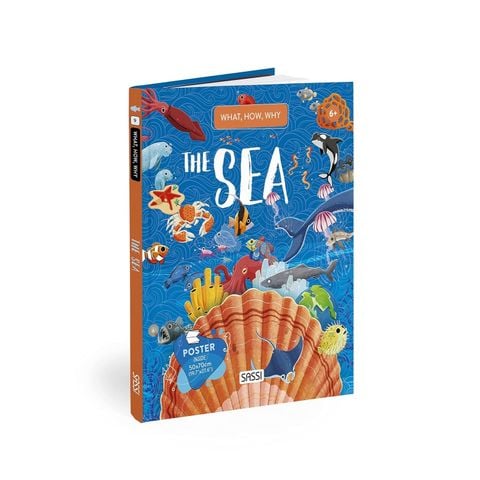 Q&A – Sea