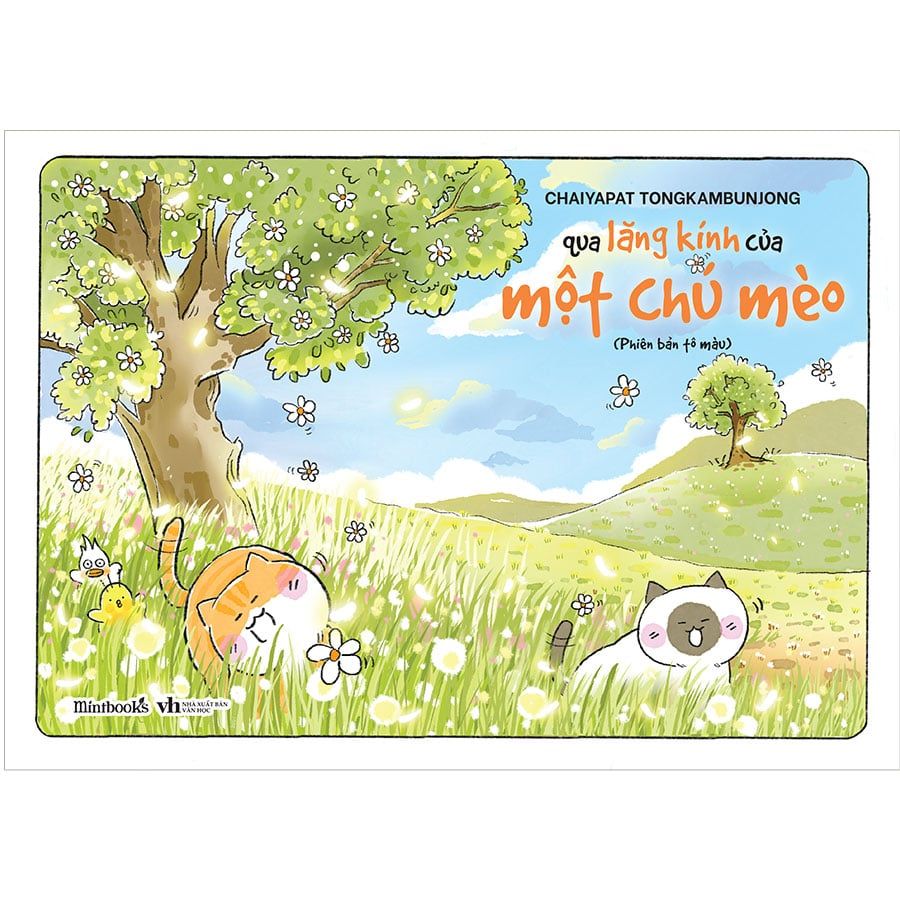 Qua Lăng Kính Của Một Chú Mèo (Phiên bản tô màu)