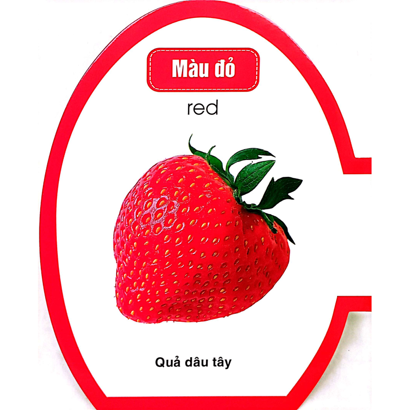 Quả Trứng Đáng Yêu Của Bé - Màu Sắc
