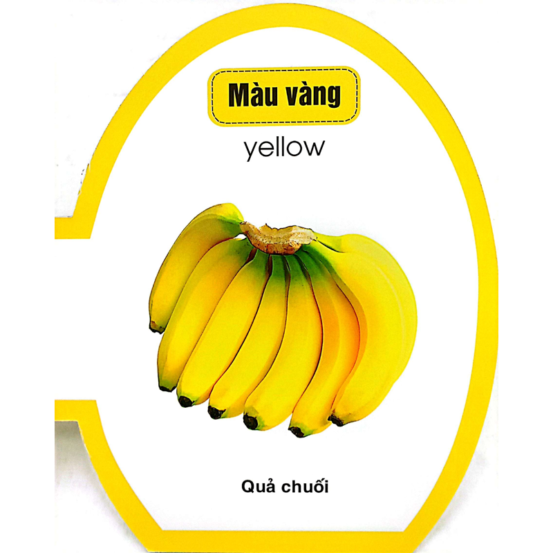 Quả Trứng Đáng Yêu Của Bé - Màu Sắc