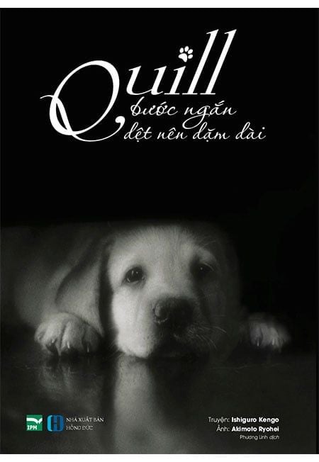 Quill - Bước Ngắn Dệt Nên Dặm Dài