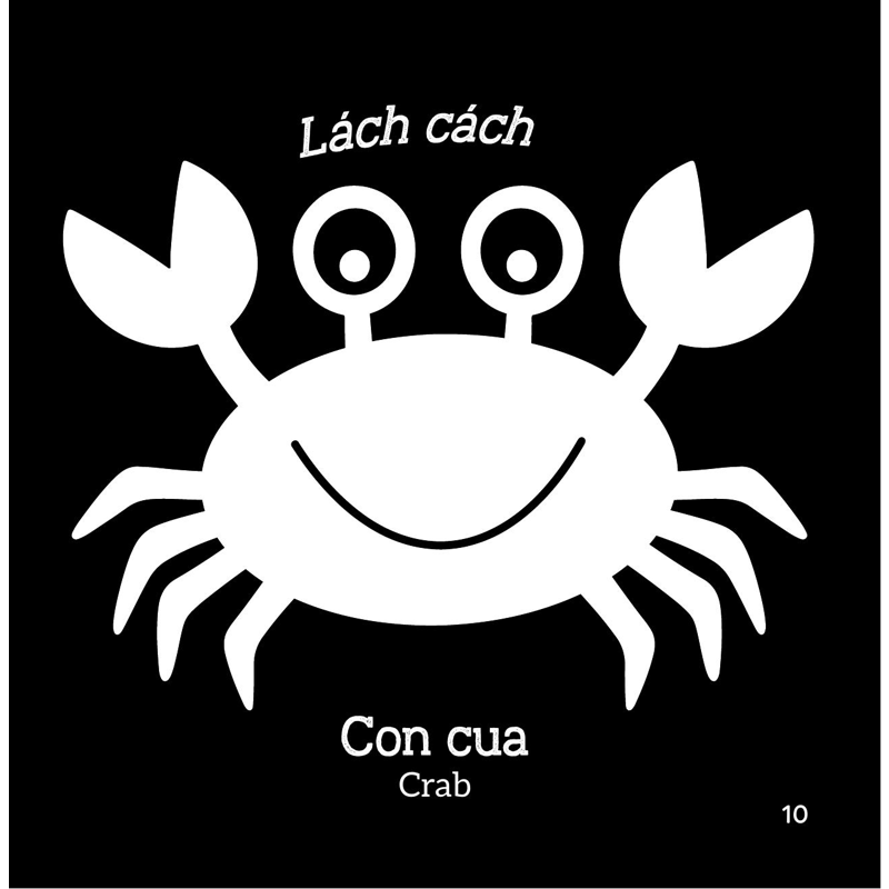 Sách Kích Thích Thị Giác - Em Bé Thấy Gì? - Đi Biển