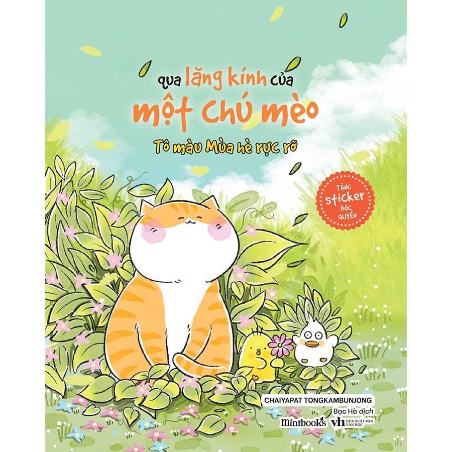 Qua Lăng Kính Của Một Chú Mèo: Tô Màu Mùa Hè Rực Rỡ
