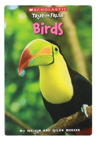 Scholastic True Or False: Birds