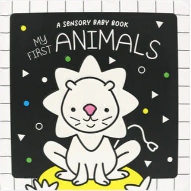 Sensory Book - My First Animals