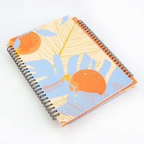 Sổ Lò Xo  B5-101H 