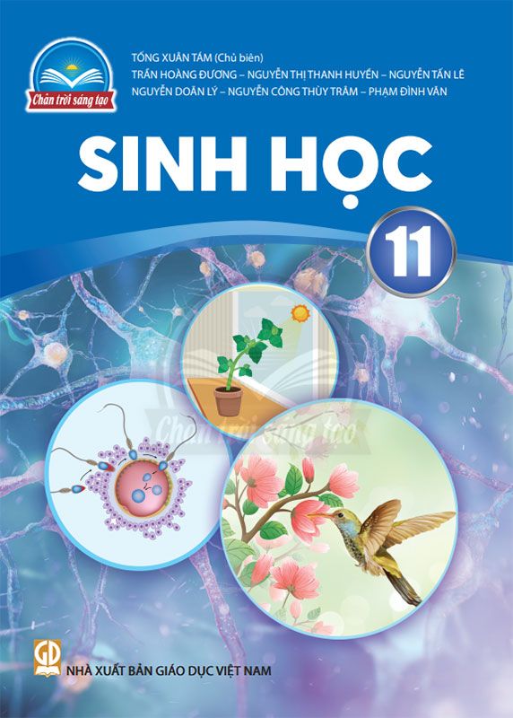 Sách Giáo Khoa Sinh Học Lớp 11 - Bộ Chân Trời Sáng Tạo