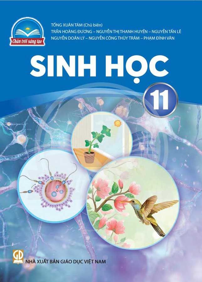 Sách Giáo Khoa Sinh Học Lớp 11 - Bộ Chân Trời Sáng Tạo