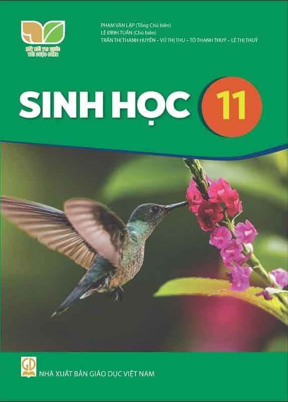 Sách Giáo Khoa Sinh Học Lớp 11 - Bộ Kết Nối Tri Thức Với Cuộc Sống