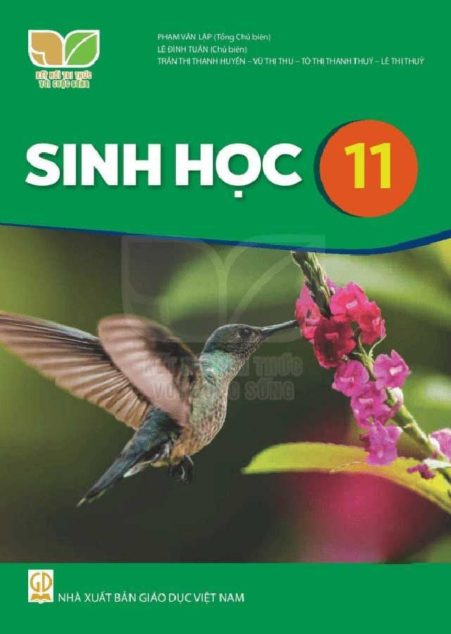Sách Giáo Khoa Sinh Học Lớp 11 - Bộ Kết Nối Tri Thức Với Cuộc Sống