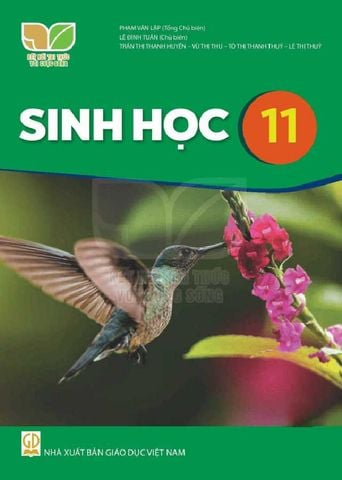 Sách Giáo Khoa Sinh Học Lớp 11 - Bộ Kết Nối Tri Thức Với Cuộc Sống