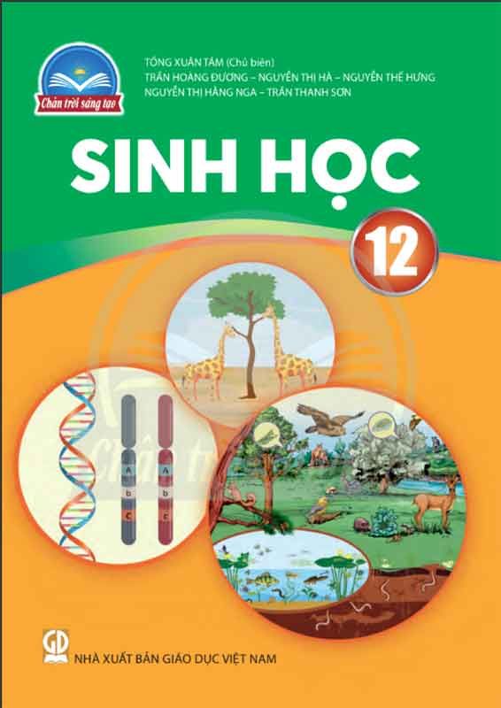 Sách Giáo Khoa Sinh Học Lớp 12 - Bộ Chân Trời Sáng Tạo