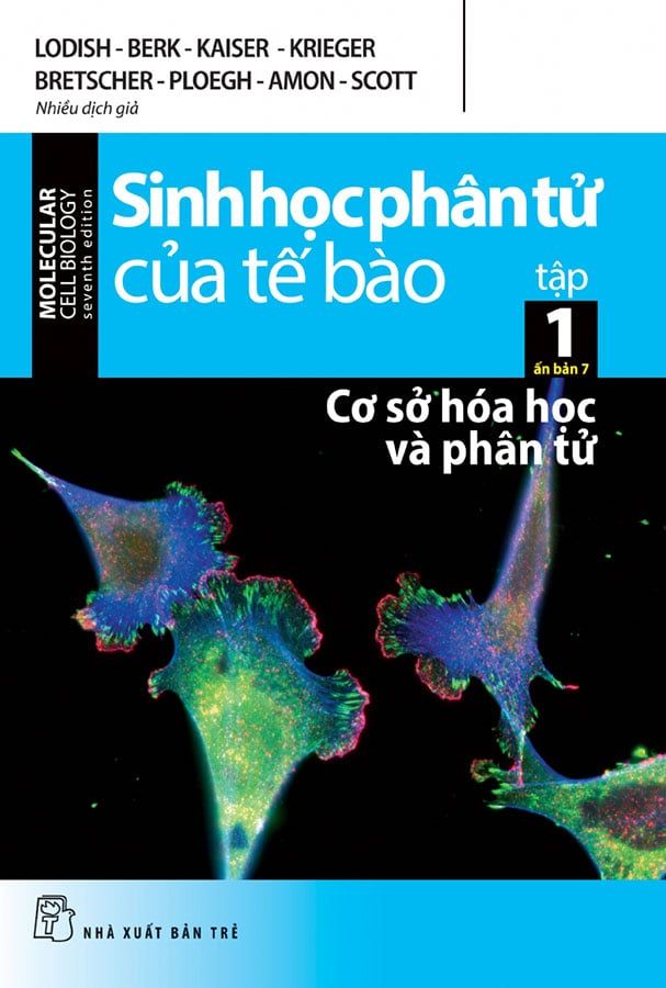 Sinh Học Phân Tử Của Tế Bào - Tập 1: Cơ Sở Hóa Học Và Phân Tử (Tái bản năm 2024)