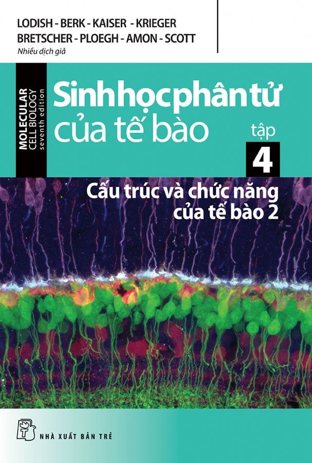 Sinh Học Phân Tử Của Tế Bào - Tập 4: Cấu Trúc Và Chức Năng Của Tế Bào 2 (Tái bản năm 2024)